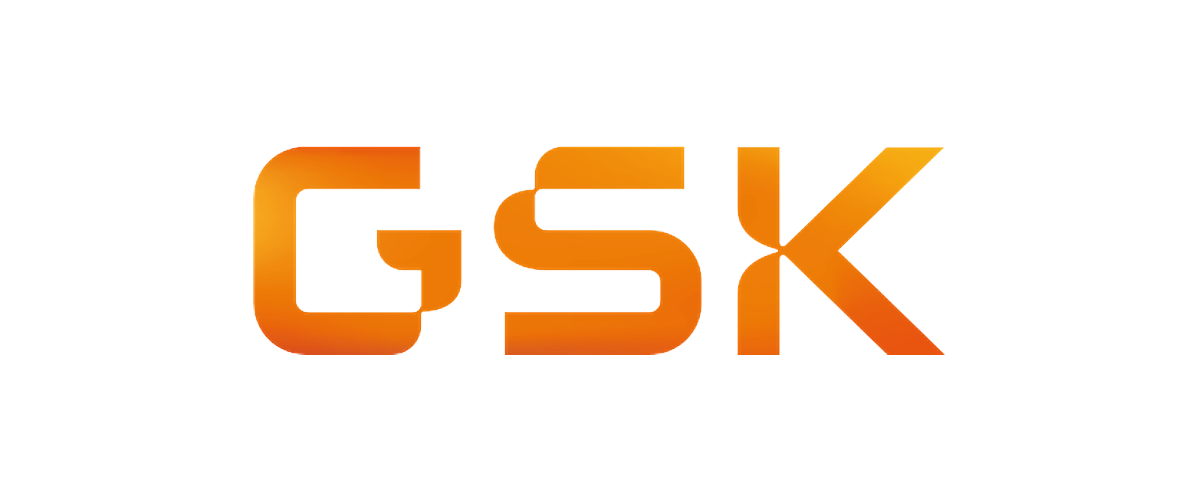 Responsable de mantenimiento 5 GSK_logo_2022